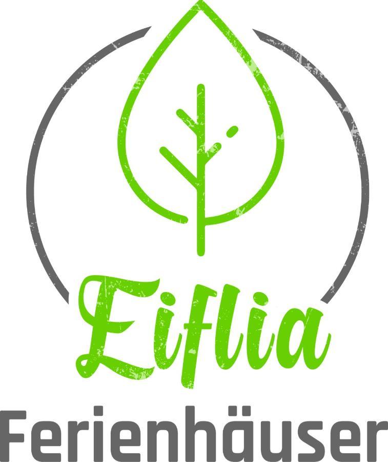 Villa Eiflia- Im Warchetal Bullange/Büllingen Esterno foto
